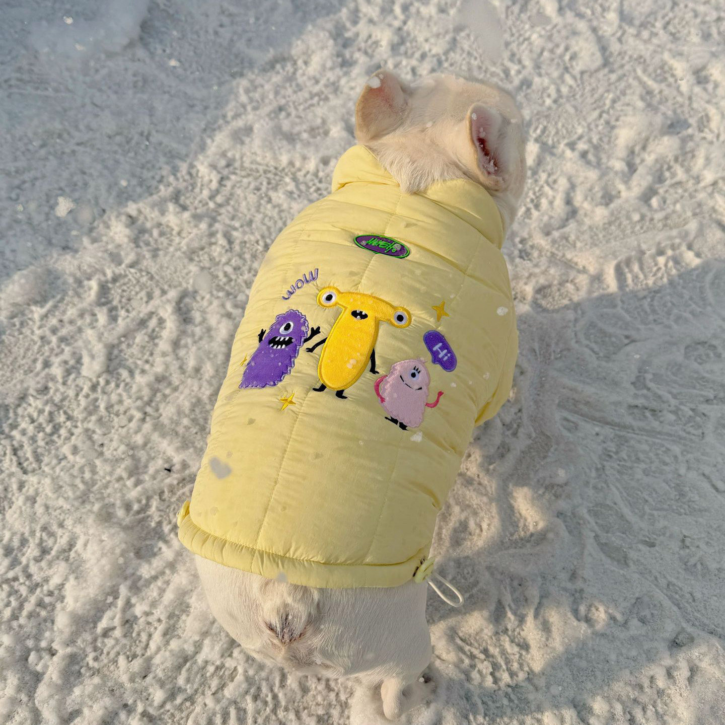 法斗衣服加厚外套巴哥棉服冬季斗牛犬棉衣保暖宠物狗大码胖狗衣服,淘宝优惠券,粉丝福利购,淘宝优惠卷