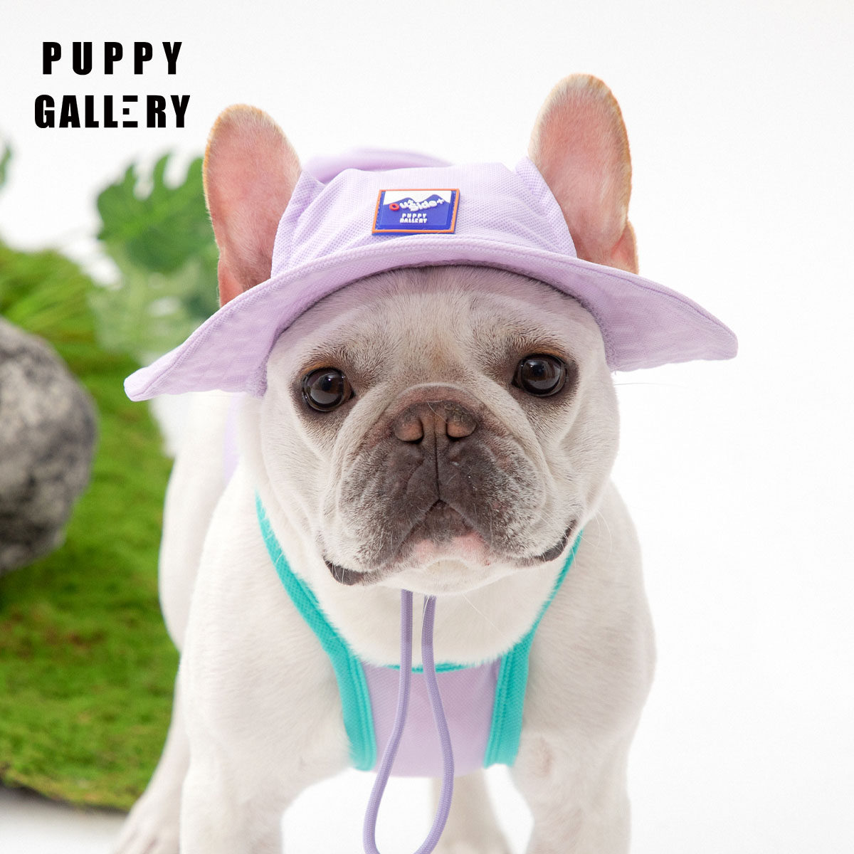 狗帽子渔夫帽 新人首单立减十元 22年8月 淘宝海外