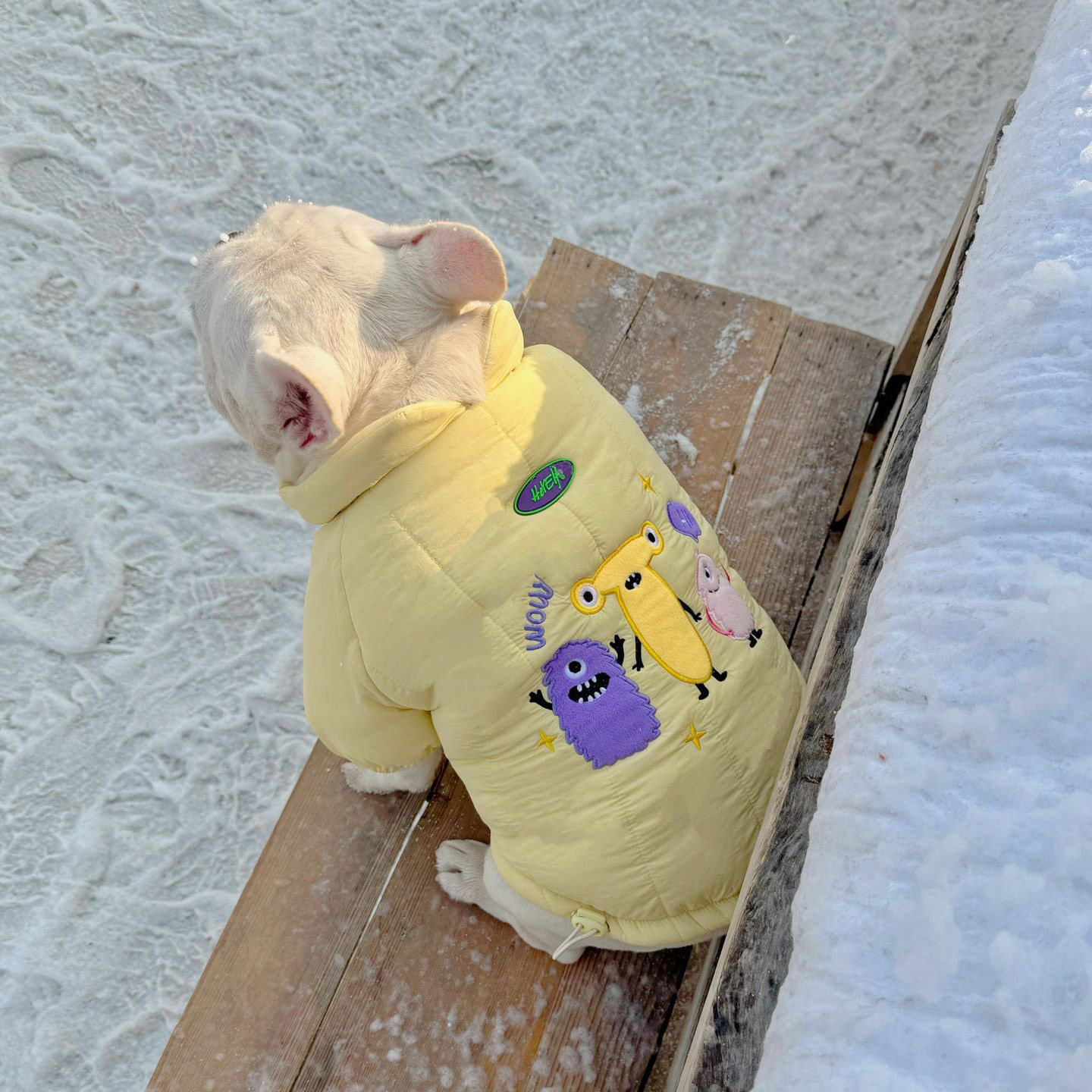 法斗衣服加厚外套巴哥棉服冬季斗牛犬棉衣保暖宠物狗大码胖狗衣服,淘宝优惠券,粉丝福利购,淘宝优惠卷