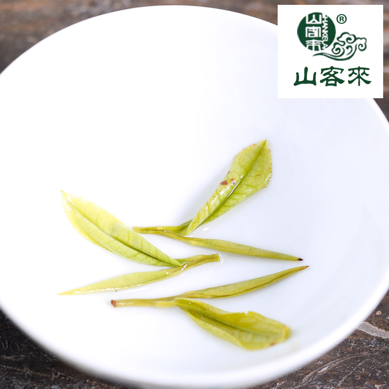 2024年新茶安吉白茶绿茶雨前特级茶叶春茶高山茶绿茶125克-图2