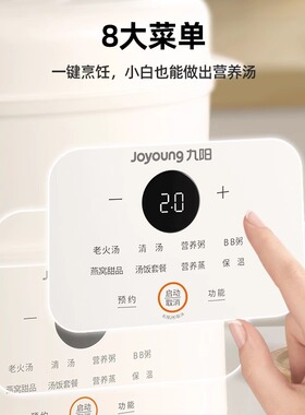 九阳电炖锅隔水炖家用煲汤电砂锅