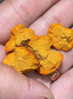 天然牛黄,又名丑宝, 质保纯正。纯天然牛黄天然牛黄真品野生