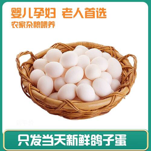 顺丰包邮新鲜纯粮鸽蛋30枚600克五谷鸽蛋老人孕妇宝宝辅食 - 图2