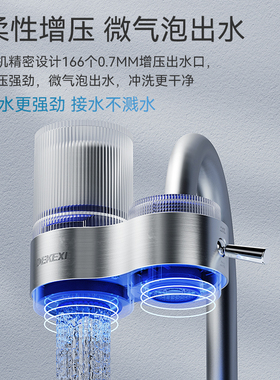 德克西厨房水龙头净水器