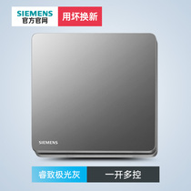 Siemens Switch Socket Wise Open Multi Control Midway Panel No Frame Series Large Plate Extreme Light Grey 86 Type Dark
