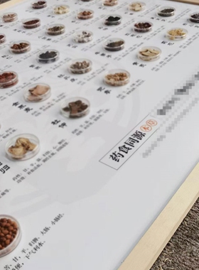 药食同源中成药标本相框画中医馆药学生展馆展示板手工挂画装饰画