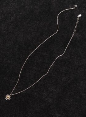 特价一条 小花925纯银雏菊项链女ins风简约百搭锁骨链气质项链