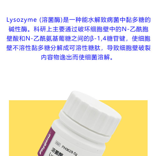 溶菌酶 Lysozyme 科研试剂 12650-88-3 实验专用 PH0628 PHYGENE - 图0