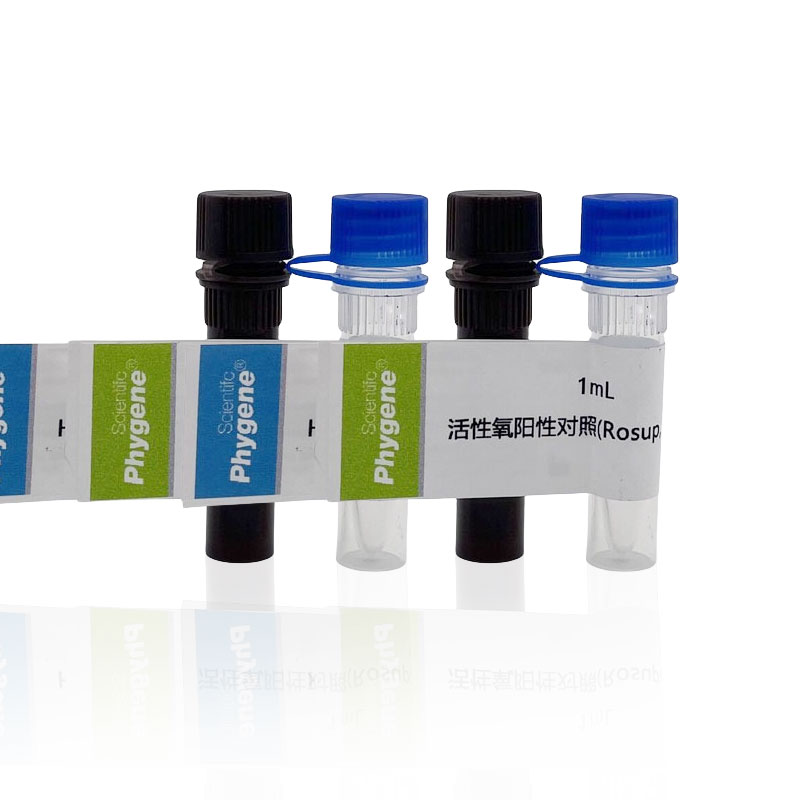 ROS活性氧检测试剂盒 H2DCFH-DA探针 1000T [PH0630-EO PHYGENE] - 图1