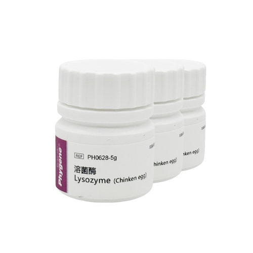溶菌酶 Lysozyme 科研试剂 12650-88-3 实验专用 PH0628 PHYGENE - 图1