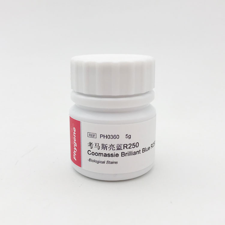 考马斯亮蓝R250 考马斯亮兰R-250 酸性蓝 实验试剂 飞净/PHYGENE - 图1