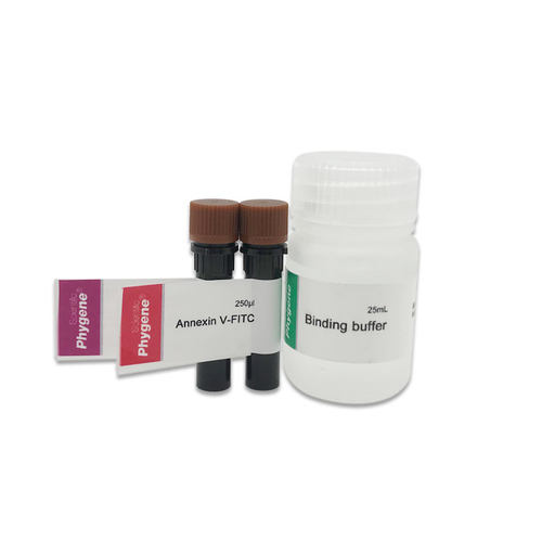 Annexin V-FITC/PI 细胞凋亡检测试剂盒 100T [PH0539 PHYGENE] - 图0