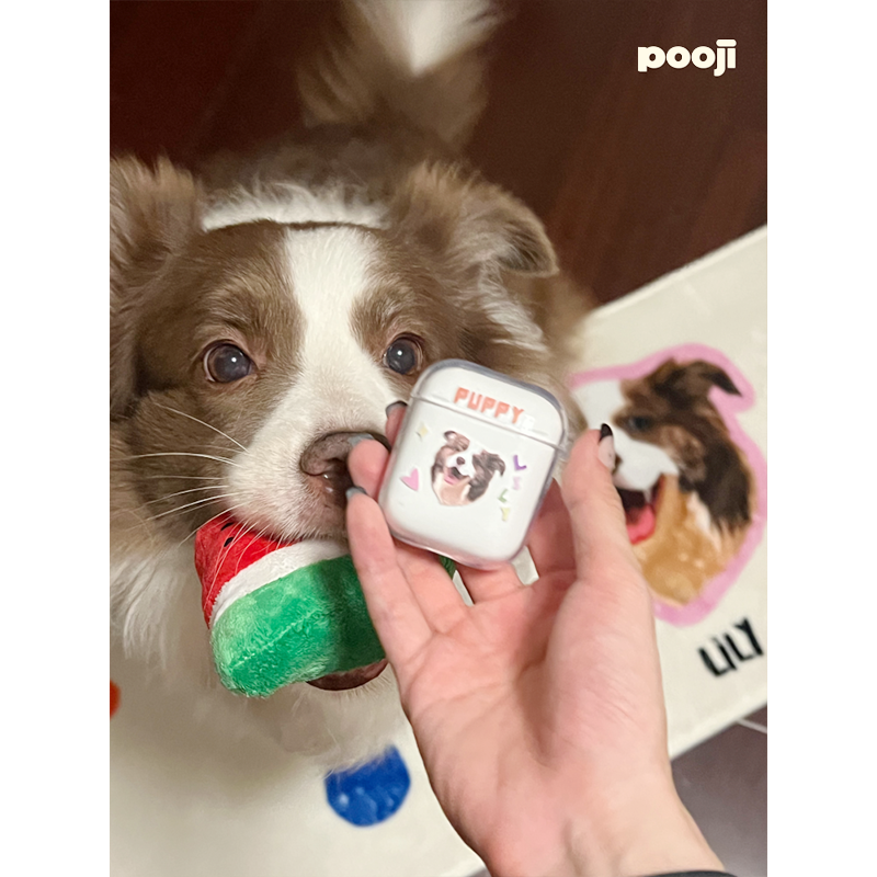 POOJI宠物定制耳机壳保护套透明airpods猫咪狗狗来图DIY礼物,淘宝优惠券,粉丝福利购,淘宝优惠卷