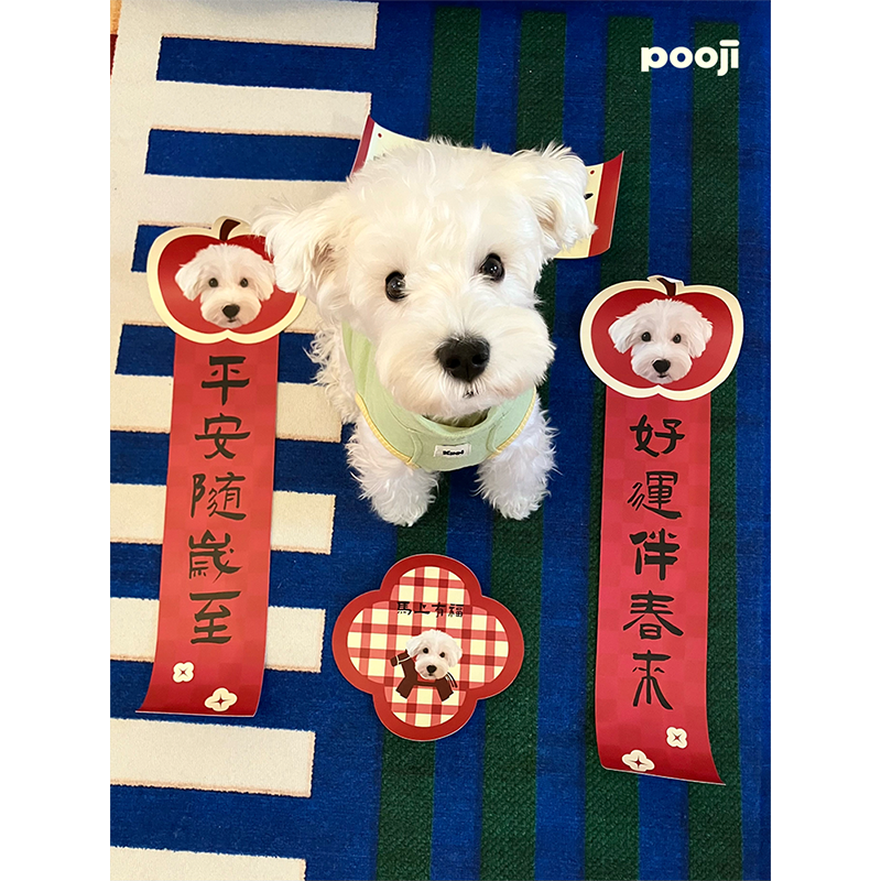 POOJI宠物定制春联对联2026马年新年猫咪狗狗创意来图DIY礼物,淘宝优惠券,粉丝福利购,淘宝优惠卷