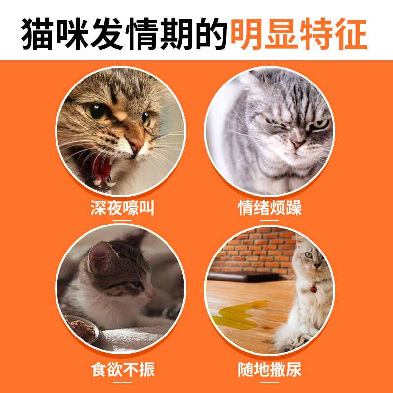 猫咪禁发情期粉母猫公猫专用抑制情欲药闹猫叫抑情片喵情静绝情液 - 图1