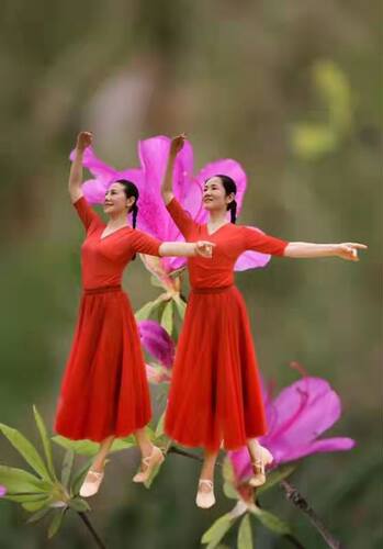 花与影广场舞《羊角花又开》 视频同款 新款舞蹈服跳舞 日常两用 - 图0