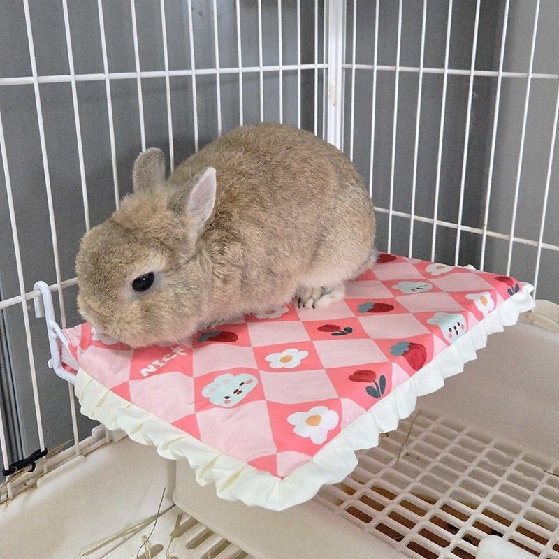 兔兔笼挂床小宠跳板挂式侏儒兔休息台阁楼笼用小平台宠物兔可爱窝,淘宝优惠券,粉丝福利购,淘宝优惠卷