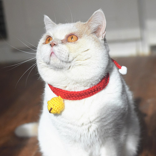 猫咪项圈无声铃铛可调节狗狗小型犬手工针织围脖英短美短宠物脖圈 - 图2