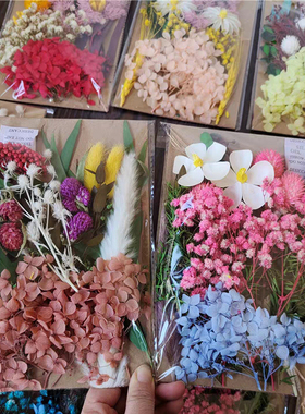 永生花干花感化材料包