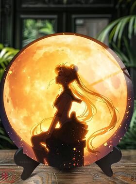 美少女战士水兵月剪影圆盘