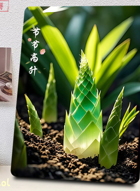 节节高升竹笋绿色摆件相框生机满满清新治愈励志祥瑞房间装饰摆台
