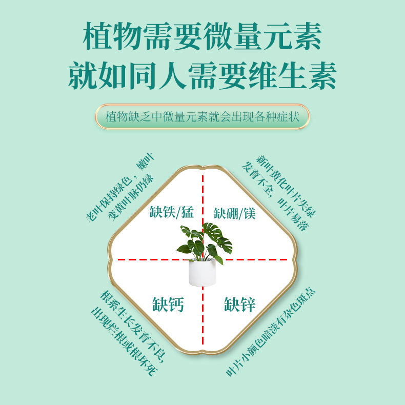 室内盆栽植物营养液通用型花肥植物活力素发财树黄叶掉叶急救水培