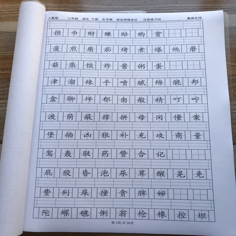 新人教版二年级下册语文识字表写字表生字注音专项拼音课业练习本