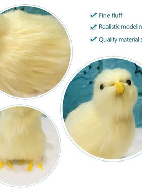 Simulation Chick Plush Toy Children Cognition Chicken Model