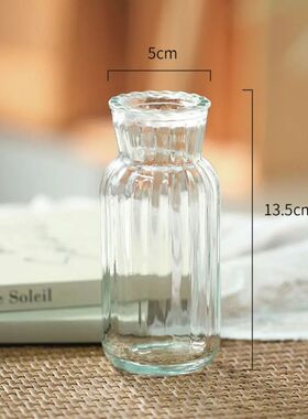 Cute Transparent Glass Hydroponic Pomegranate Small House Va
