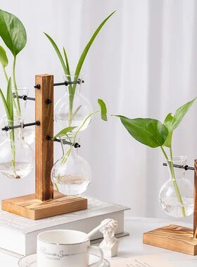 Terrarium Vasevase Decoration Home Bonsai Flower Plant Vases