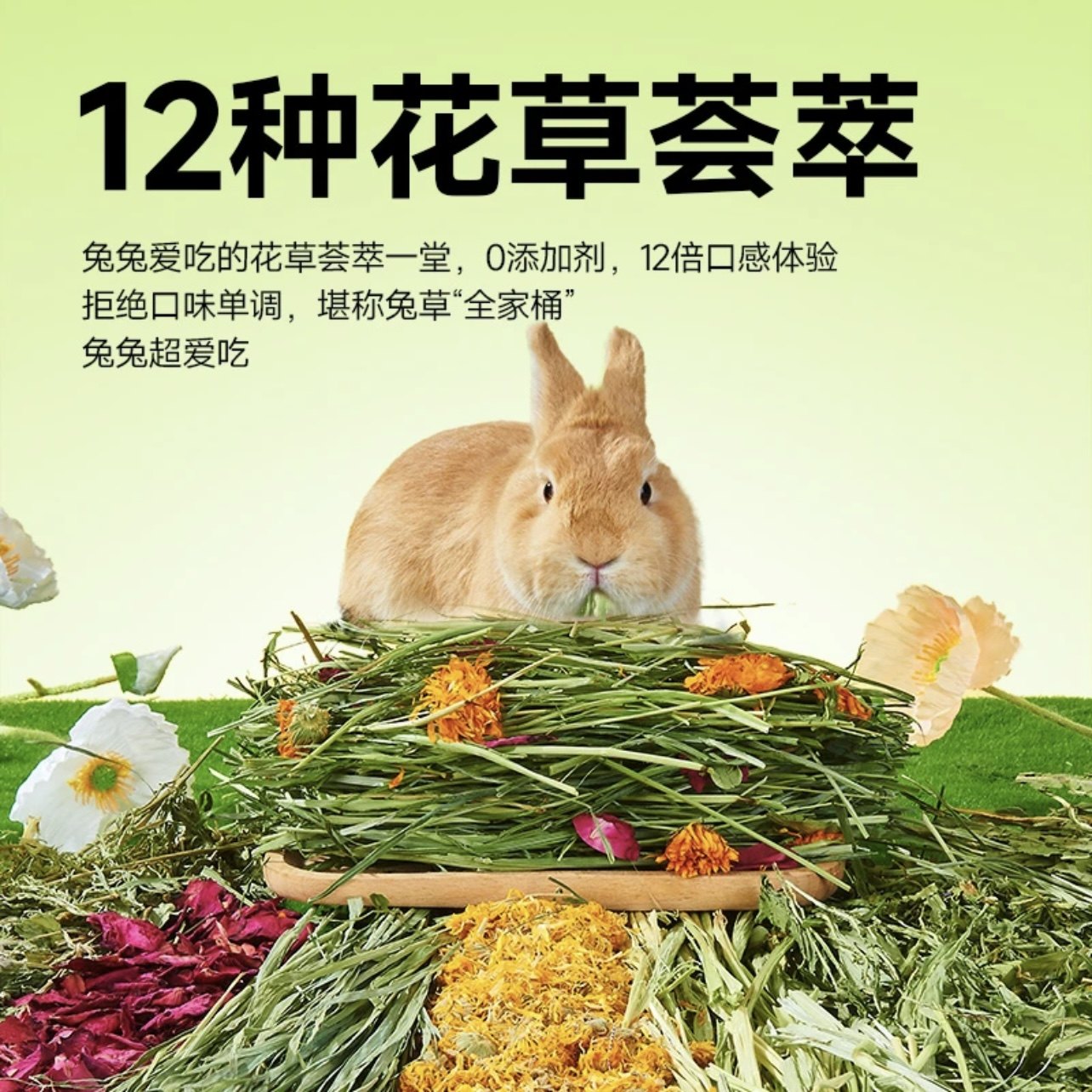 兔子干草混合牧草提摩西草苜蓿草燕麦草菊苣薄荷豚鼠荷兰猪零食,淘宝优惠券,粉丝福利购,淘宝优惠卷