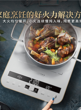 年度新品点纹面板电磁炉
