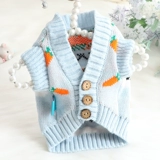 Осенний кролик для принцессы, свитер, милый кардиган, кот, домашний питомец