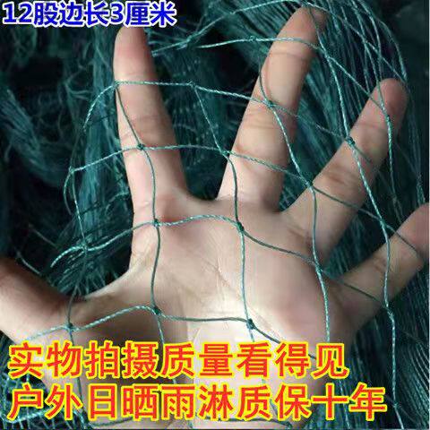 鱼网网片拉网养殖网渔网聚乙烯网片尼龙网捕鱼网布有结网养鸡网 - 图1