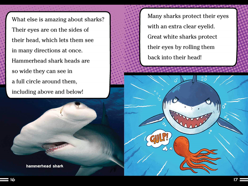 进口英文原版 Sharks Can't Smile!: And Other Amazing Facts 鲨鱼不会笑！：还有其他令人惊讶的事实 青少年课外英语阅读 平装 - 图1