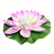 Yishangcheng Lotus Lanterns Colorful Luminous Wishing Festival