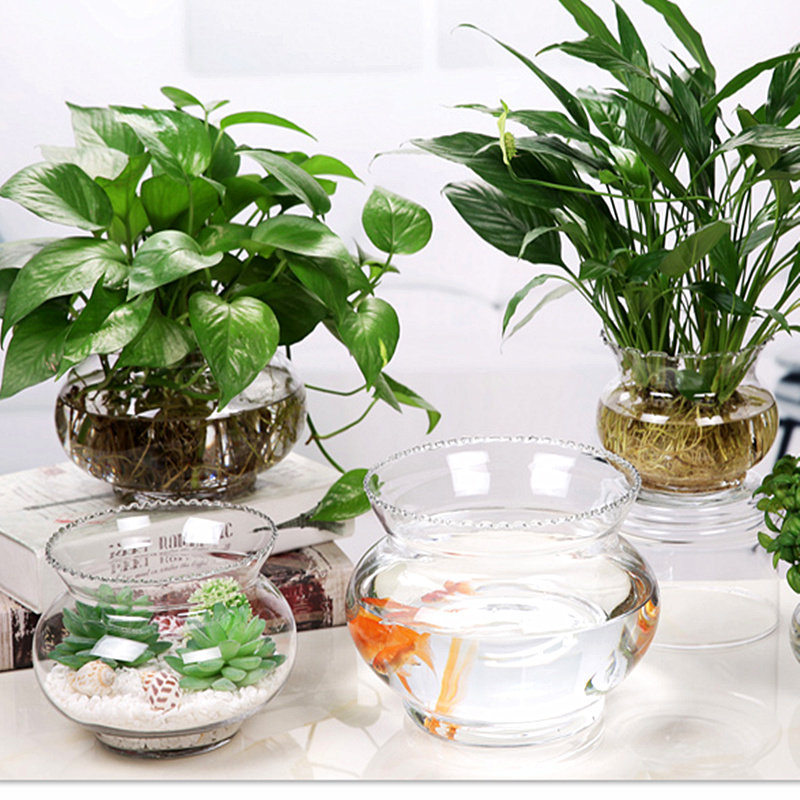绿萝水培花盆透明玻璃花瓶花边大号水养植物器皿碗莲盆鱼缸乌龟缸,淘宝优惠券,粉丝福利购,淘宝优惠卷