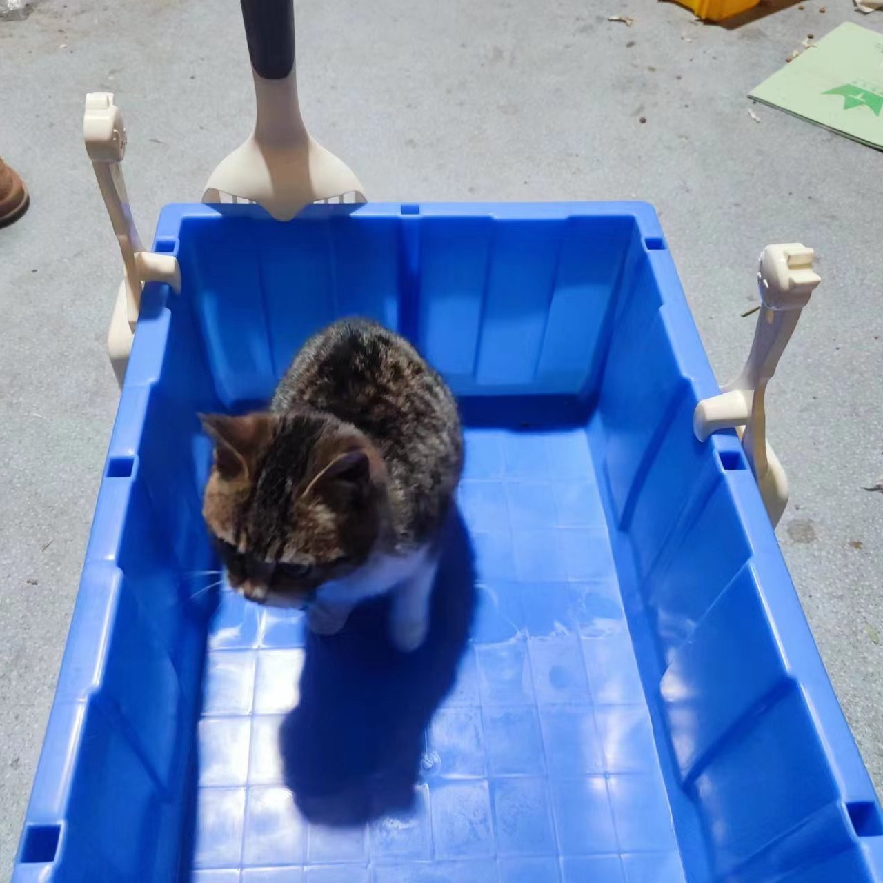 加大加厚加高斜口零件盒猫沙盆防外溅开放式简约而不简单五金猫盆