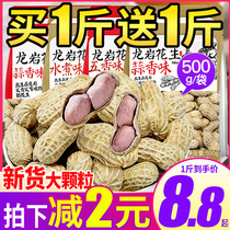 Dragon Rock Peanut Garlic Fragrant 5-fragrance Multi-flavor white sunburn Boiled Peanut Rice With Shell Fried Goods Year Goods Zero Food Cooked Bulk Wholesale