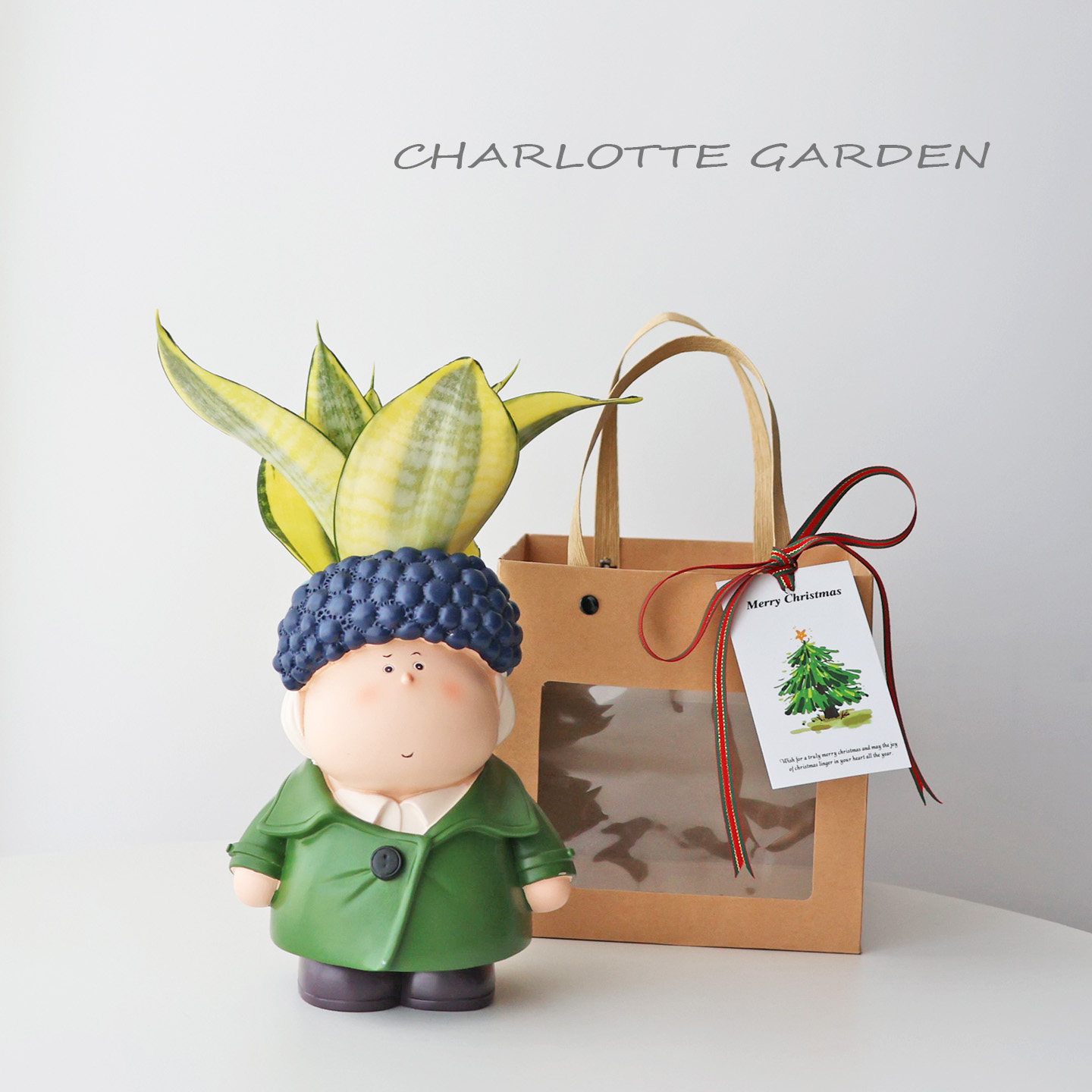 圣诞节新年礼物 卡通可爱 室内办公室工位桌面好养创意绿植盆栽,淘宝优惠券,粉丝福利购,淘宝优惠卷