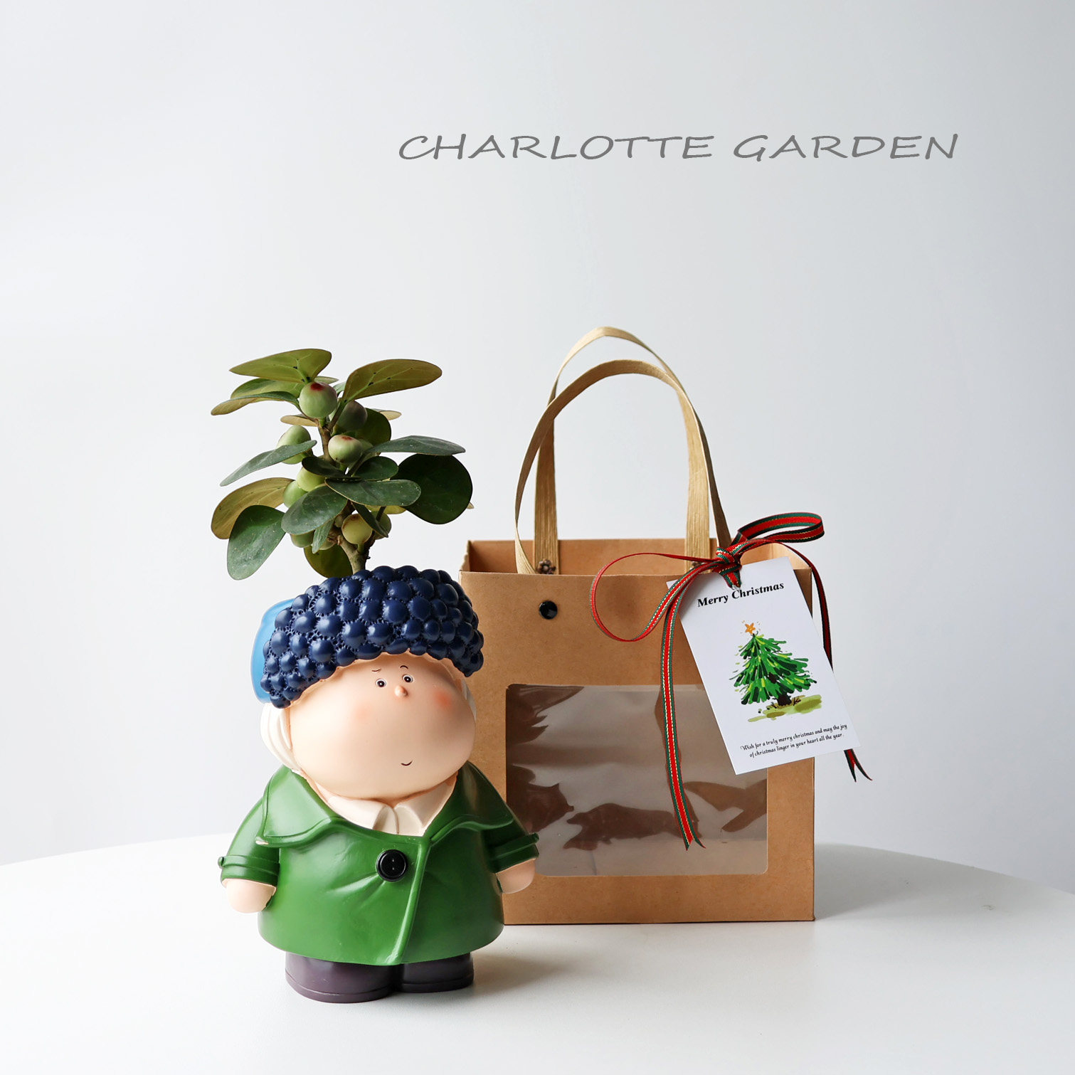 圣诞节新年礼物 卡通可爱 室内办公室工位桌面好养创意绿植盆栽,淘宝优惠券,粉丝福利购,淘宝优惠卷