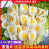 Vegetarian egg yolk slices, duck egg slices, deep-fried skewers, cold Malatang, hot pot, oden cooking ingredients, meal replacement, non-konjac vegetarian