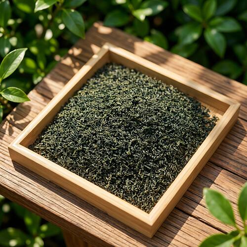北川绿毛峰茶新茶高山茶绿茶2026新茶羌乡特产清香型明前春茶袋装 - 图3