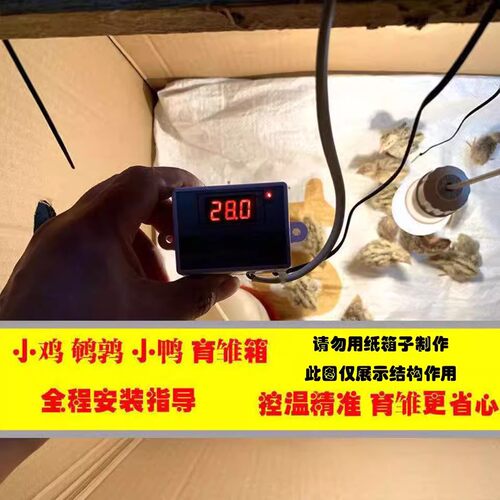 智能控温灯芦丁鸡取暖加热鸟保暖灯防水防爆可调温养殖灯加热恒温 - 图1