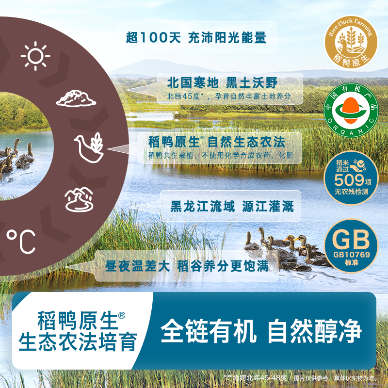 禾泱泱有机稻鸭原生高铁米粉米糊 婴幼儿辅食 低敏醇净益生菌米粉