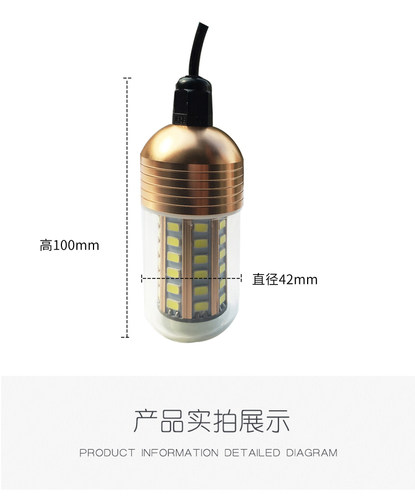 30W12V下水灯LED诱鱼灯户外夜钓银鱼翘嘴鱿鱼抄网集鱼黄光水下灯 - 图1