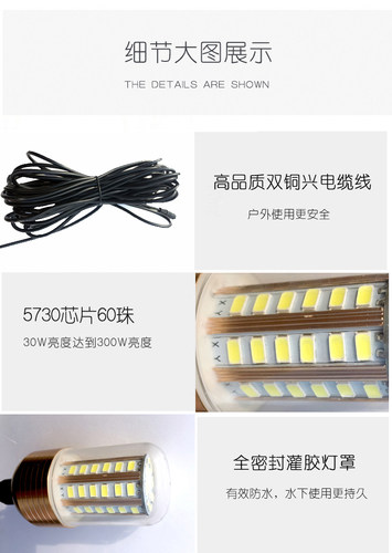 30W12V下水灯LED诱鱼灯户外夜钓银鱼翘嘴鱿鱼抄网集鱼黄光水下灯 - 图3