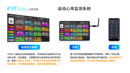FITMAO飞猫校园心率带智能手环学生团体训练系统手臂环团课实时监 - 图3