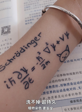 2张半永久薛定谔的猫果汁防水贴