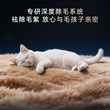 【卡萨帝揽光GLD】12kg大容量洗衣房洗烘套装洗衣机热泵干衣机